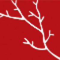 Red Branch Development, Llc