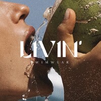 LIVIN' SWIMWEAR logo - Similar company to 123 Secours