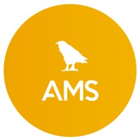 AMS Music Group logo - Similar company to Tigerspring