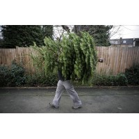 Sullivan and Sullivan Christmas Tree Removal logo - Similar company to Seafarer Group