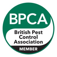 Environmental Pest Control