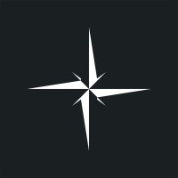 North Star Strategy logo - Similar company to North Star Strategy Consulting