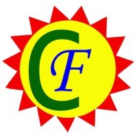 Career Foundation logo - Similar company to Shuddhi Trust