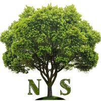 Natural Systems Llc