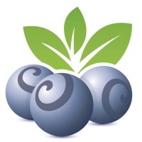 Blueberry Mortgages Online logo - Similar company to Blueberry Mortgages