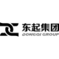 Dongqi Crane&Hoist logo - Similar company to Electrolift, Inc