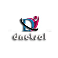 DNETSOL logo - Similar company to Altoleap Inc.