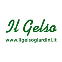 Il gelso logo - Similar company to Minedesign Kreativagentur