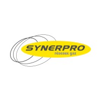 SYNERPRO Groupe logo - Similar company to Dé-Light