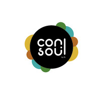 Consoul by LH logo - Similar company to Anison Design Engineering