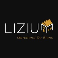 LIZIUM logo - Similar company to Deleschaux & Froid