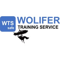 WTSSAFE logo - Similar company to Bonier Equipamentos
