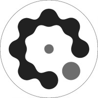 BM Solution logo - Similar company to Bm Solutions