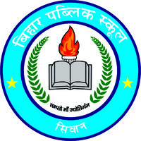 Bihar Public School, Siwan logo - Similar company to Msv