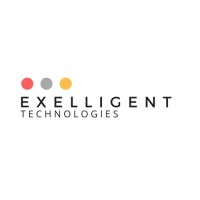 Exelligent Technologies logo - Similar company to Exelligent