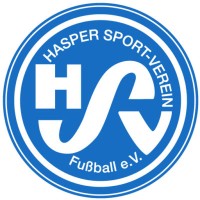 Hasper SV logo - Similar company to Ventzone