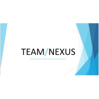 Team Nexus logo - Similar company to State Infotech