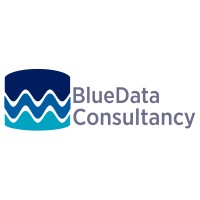 BlueData Consultancy logo - Similar company to Blue Data Consulting