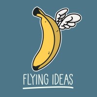 Flying Ideas srl logo - Similar company to Next Race Srls