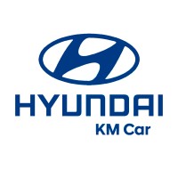 HYUNDAI Villepinte/Les Pavillons-Sous-Bois logo - Similar company to Opel - Groupe Riester