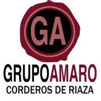 GRUPO AMARO logo - Similar company to Fletera Del Norte
