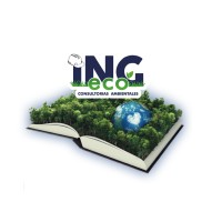 Consultores Ingeco logo - Similar company to Grupo Terra Zan