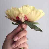 Extrafloral logo - Similar company to Es Canyis