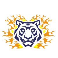 FireTiger Fitness logo - Similar company to Firetiger Ab