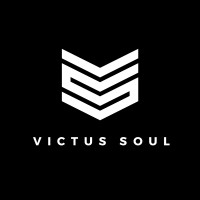 VICTUS SOUL logo - Similar company to Kip
