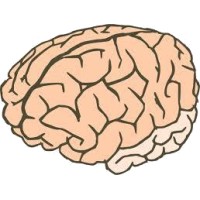 Mentoring Autistic Minds logo - Similar company to Autism And Neurodivergency Advocacy Association