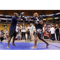 Roberto Flamingo Striking Coach MMA logo - Similar company to The Shop 814