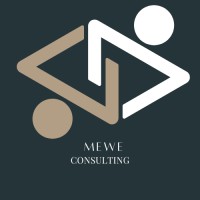 MeWe Consulting logo - Similar company to Mewe Electronics Cam
