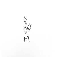 Verdes Marias logo - Similar company to Projeto Draft