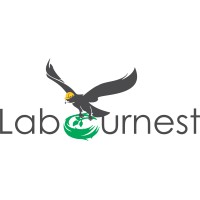 Labournest logo - Similar company to Sysacular Technocrats