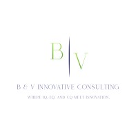 B & V Innovative Consulting logo - Similar company to Georgia Act