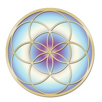 Divine Light Foundation (USA) logo - Similar company to The Light Foundation