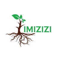 Imizizi logo - Similar company to Ransoft