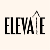 Elevate DataViz Learning Community logo - Similar company to Figures & Figures