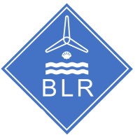 BLUE LINES RENEWABLES, S.L. logo - Similar company to Db Asset Management Limited