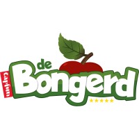 Capfun de Bongerd logo - Similar company to Adapt