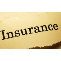 Insurance Agent
