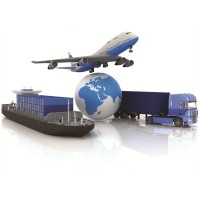 Export Import Academy logo - Similar company to Dış Ticaret