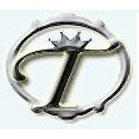 Terli IT Solutions logo - Similar company to Imettle Consulting Llc