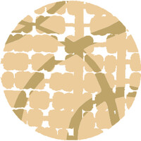 Berkowitz Career Ventures, LLC logo - Similar company to Nemphos Braue Llc