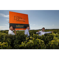 Château Fleur La Mothe logo - Similar company to Château Doyac