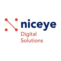 Niceye It Consulting