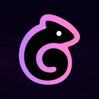 Chamaleon Tech logo - Similar company to Chamaeleon