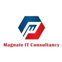 Magnate IT Consultancy logo - Similar company to Missing Link Communications Limited