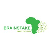 Brainstake Smart Systems logo - Similar company to Comarsoft Solutions