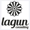 LAGUN CONSULTING logo - Similar company to Lagun